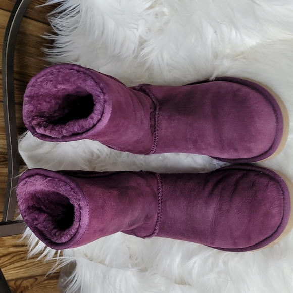UGG Shoes - Ugg booties